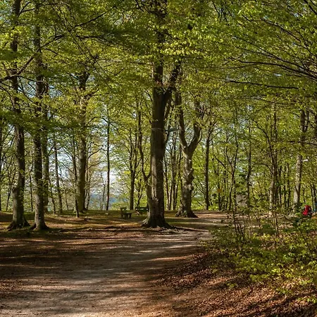 13b Blue Marine Basen Brodziki Plac Zabaw The Of Przy Plaz * Poddąbie