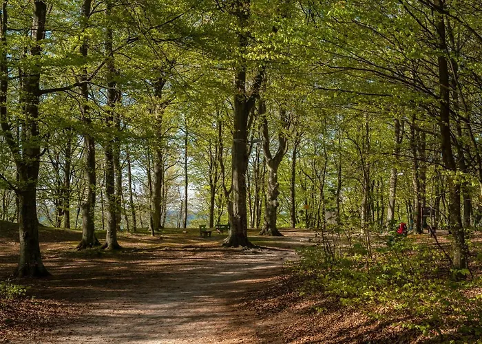 13b Blue Marine Basen Brodziki Plac Zabaw The Of Przy Plaz * Poddąbie