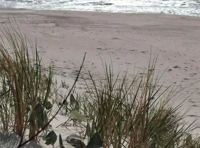 Lägenhet 13b Blue Marine Basen Brodziki Plac Zabaw The Of Przy Plaz *